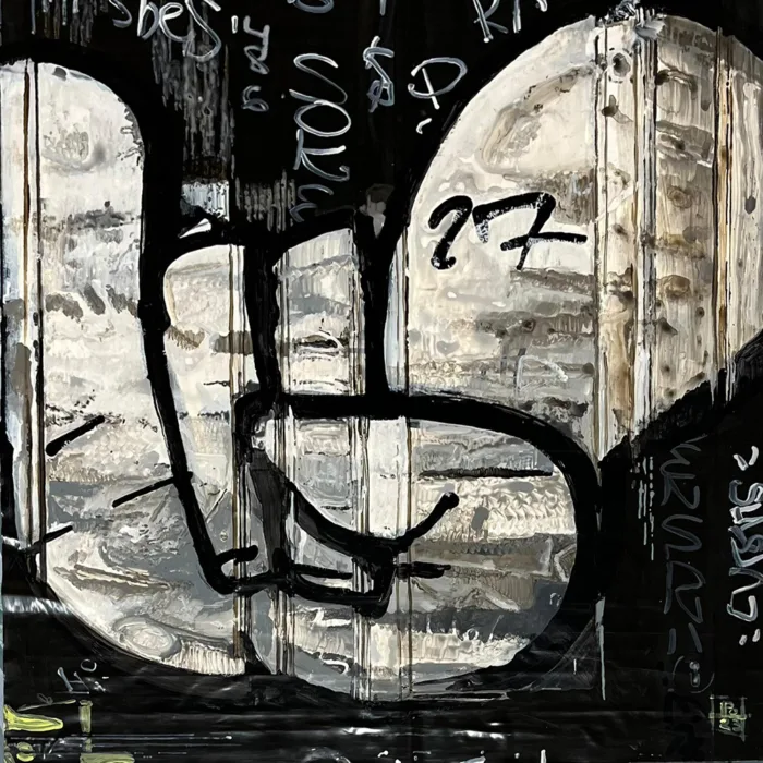 Piel 2 de Pablo Ochoa de Olza. Exposición Graffiti.